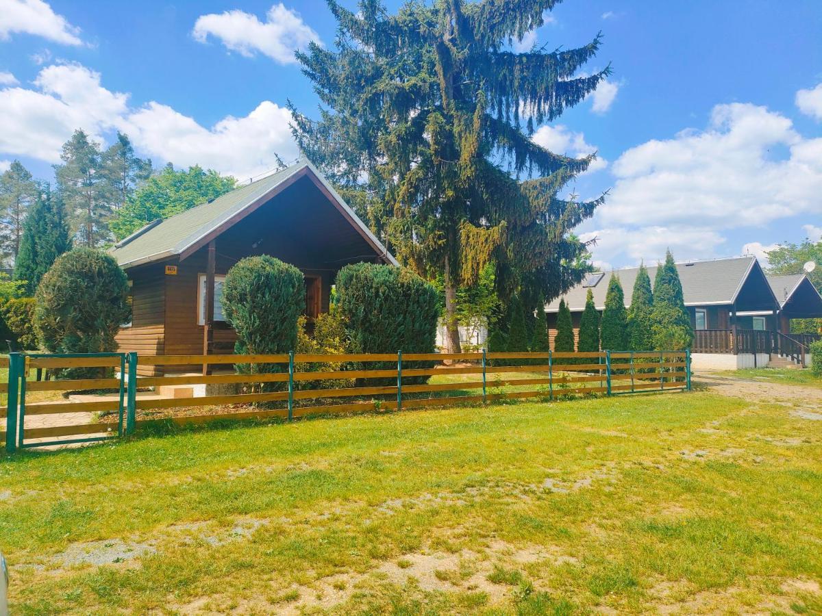 Apartament - Zdan