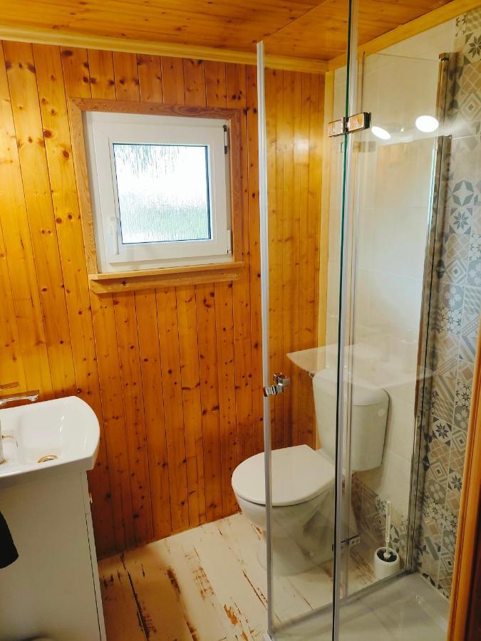 Apartament - Zdan